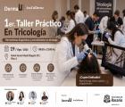 Ticologia